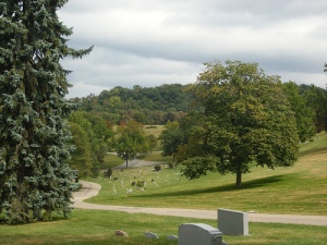 Rolling hills of Allegheny Cemetery